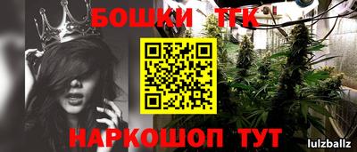 винт Гусиноозёрск