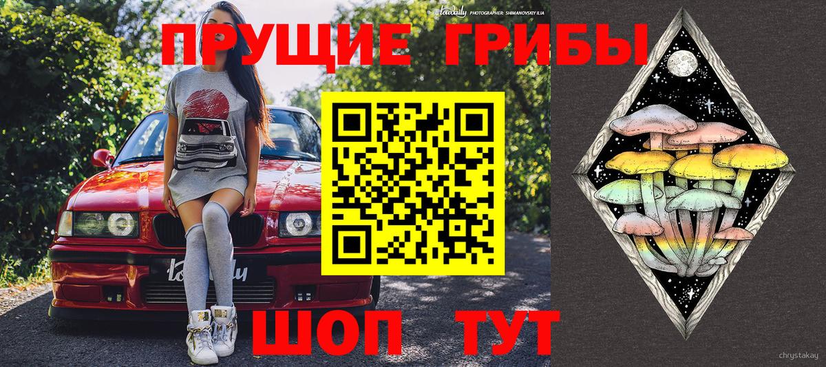 где купить наркоту  Галлюциногенные грибы мицелий  Вход с VPN  Майский  Псилоцибиновые грибы прущие грибы 